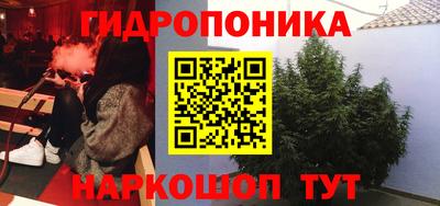 дмт Абинск